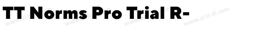 TT Norms Pro Trial R字体转换